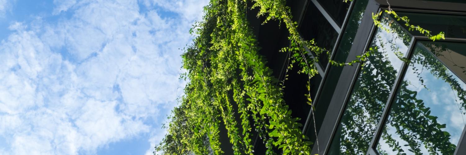 green building