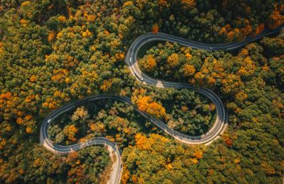 Arval Consulting rapport